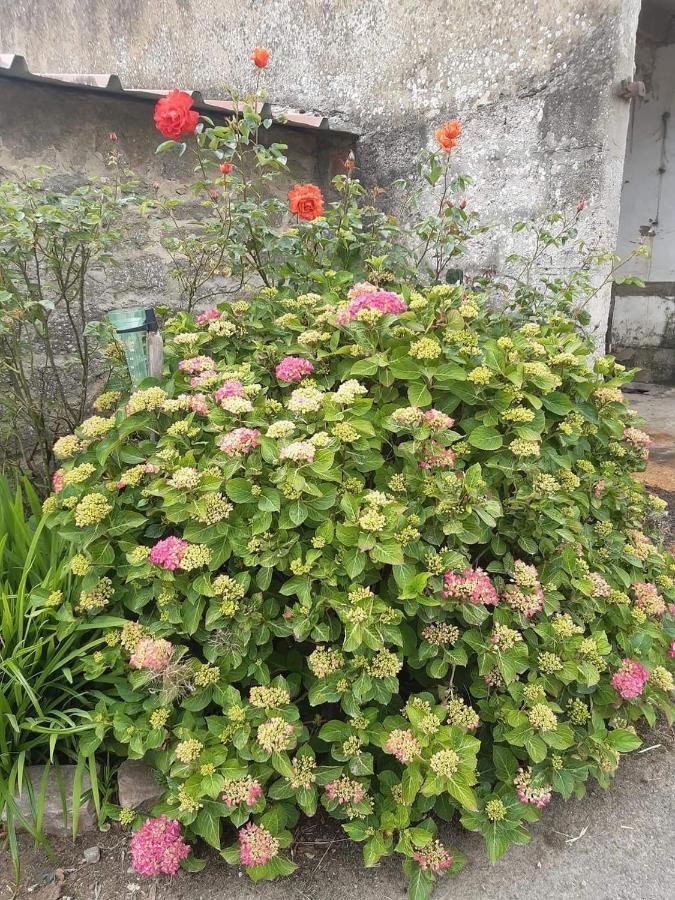 Au Bocage Parfume Gite La Cigaline Wirwignes Esterno foto