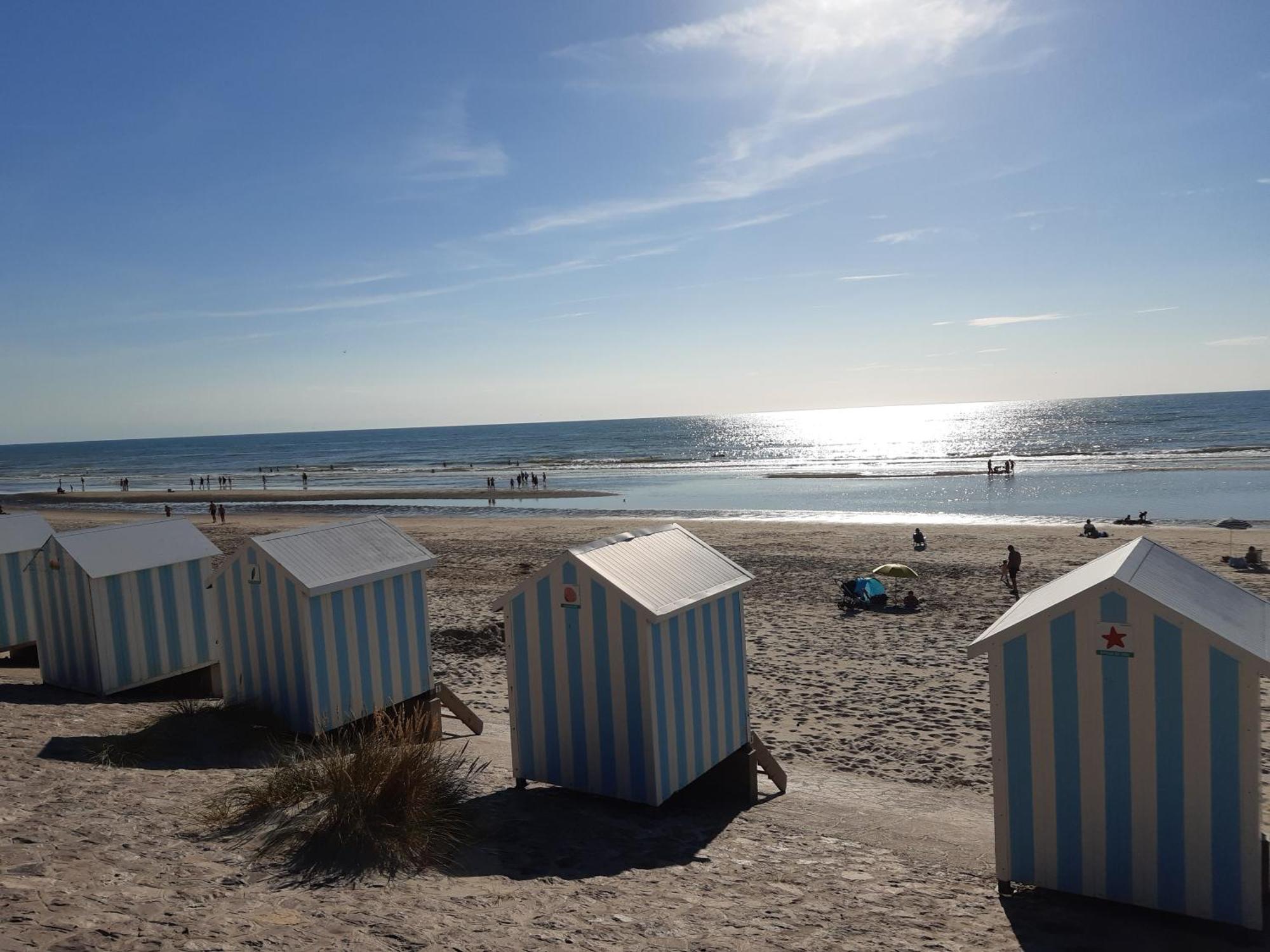 Au Bocage Parfume Gite La Cigaline Wirwignes Esterno foto